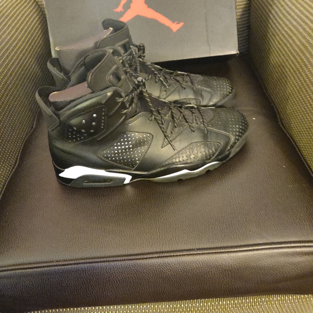 Air Jordan Black Cat 6s